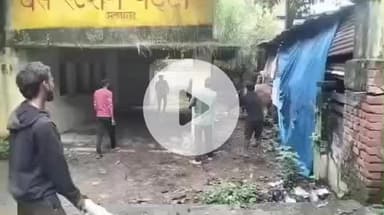 पट्टी: नगर पंचायत पट्टी ने आवारा गोवंशों को पकड़कर गो संरक्षण केंद्र भेजा