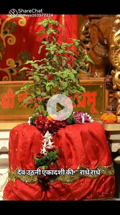 सभी देशवासियों को तुलसी  विवाह का हार्दिक शुभकामनाएं