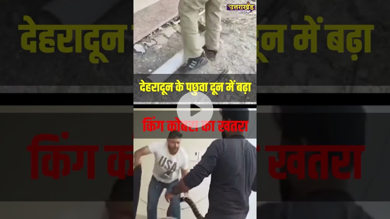 देहरादून के पछुवा दून में बढ़ा किंग कोबरा का खतरा #uttarakhandnews #viralvideo #snakevideo