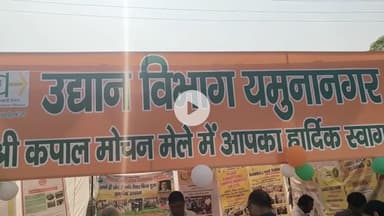 जगाधरी: यमुनानगर: कपाल मोचन मेले में भाई प्रगतिशील किसान द्वारा तैयार केले और हल्दी की बर्फी