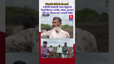 મોંઢામાંથી કોળિયો છીનવાયો કમોસમી વરસાદથી ગઢડા તાલુકામાં ખેડૂતોની હાલત દયનીય,