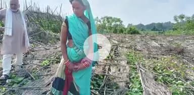 ढीमरखेड़ा: ढीमरखेड़ा में असमय बारिश से पान बरेजा धराशायी, पान की फसल पूरी तरह चौपट