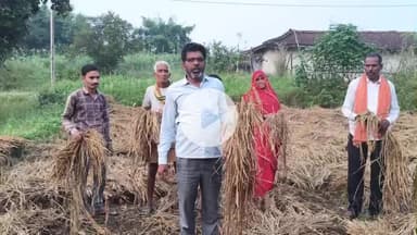 छत्तीसगढ़ के किसानों का धान फसल पानी ने भारी छाति पहुंचआ लालजी बौध्द प्रदेश अध्यक्ष छ. ग.मानवाधिकार मुआवजा की मांग किये