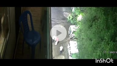 धार: त्रिमूर्ति नगर स्थित वाइन शॉप ऑफिस में युवक से बर्बर मारपीट, वीडियो वायरल