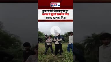 डेम पर दिखा विशाल अजगर, ग्रामीणों ने बहादुरी से पकड़ा, वन विभाग ने किया रेस्क्यू | #vidisha #python