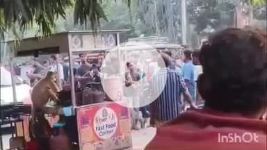 लखीमपुर: शहर के कृष्णा टॉकीज के पास लगे चाउमीन ठेला पहुंचे लंगूरी बंदर ने चखा चाउमीन का स्वाद मचाया उत्पात मचा हड़कंप