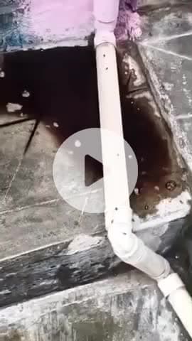 कानपुर: रायपुरवा इलाके में महिला की मौत की पोस्टमार्टम रिपोर्ट आई सामने, गला घोटकर की गई हत्या