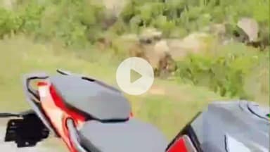 खूंटी: लोहागढ़ा डाईर मेला परिसर से ड्यूक बाइक की चोरी