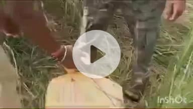 गोपालगंज: राजवाही दियारा इलाके से 480 टेट्रा पैक शराब जब्त, शराब तस्कर फरार, उत्पाद विभाग की कार्रवाई