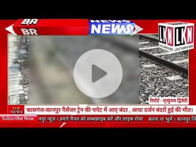 कासगंज-कानपुर पैसेंजर ट्रेन की चपेट में आए बंदर , आधा दर्जन बंदरों हुई की मौत...