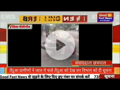 बाइक से जा रहा था युवक अचानक ओवरलोड लकड़ी से भरे टैक्टर ने मारी टक्कर#goodfastnews