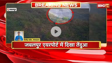 Jabalpur News : Airport में तेंदुआ घुसने की सूचना से हड़कंप | CCTV Footage में नजर आया तेंदुआ | देखिए