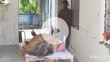 अधौरा: दहार गांव के बधार में धान की फसल की रखवाली करते समय जहरीले सांप के काटने से एक वृद्ध महिला की मौत