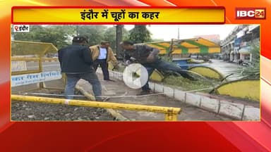 Indore News : शास्त्री ब्रिज पर धंसी सड़क पर मिले थे चूहों के बिल। MIC सदस्य ने की जांच की मांग