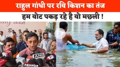 Ravi Kishan on Rahul Gandhi : रवि किशन का राहुल गांधी पर तंज | Bihar News | Hindi News