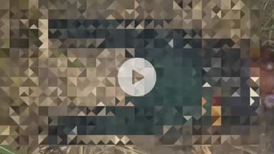 शाहबाद: बेहटा कोला गांव में गन्ने के खेत में मिला अज्ञात युवक का शव, क्षेत्राधिकारी और प्रभारी निरीक्षक ने मौके पर किया मुआयना