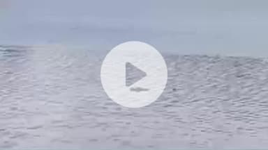 हुज़ूर: कमला नगर थाना क्षेत्र में झील में तैरता मिला एक व्यक्ति का शव