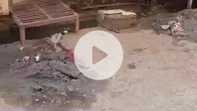 हरिद्वार: हरकी पैड़ी के पास रामघाट बाजार में कूड़ा नहीं उठाने से नाराज व्यापारी, डीएम मयूर ने लिया संज्ञान और लगाई फटकार