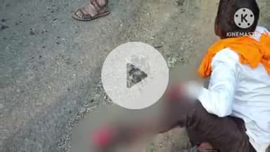 समुद्रपूर: ट्रकची दुचाकीला धडक, बापलेक गंभीर जखमी: कोल्ही शिवारातील घटना