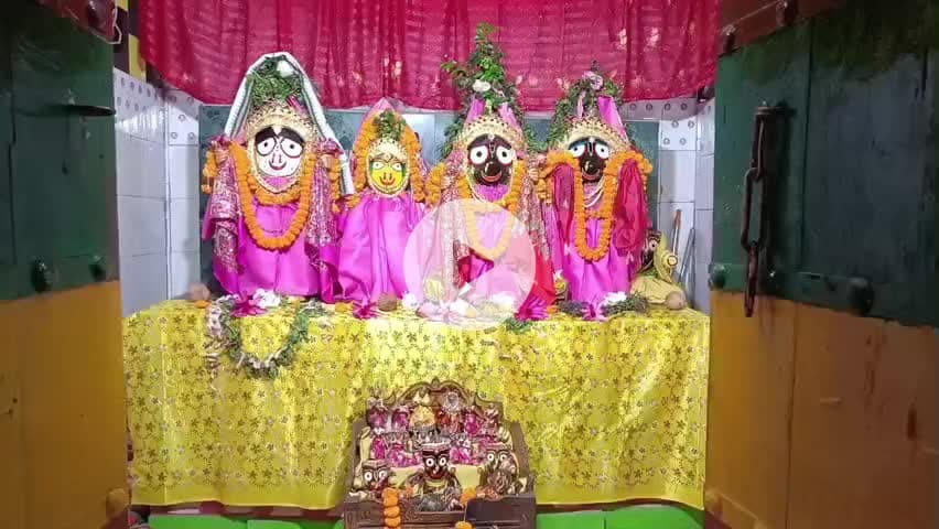 ଡୁଙ୍ଗୁରିପାଲି: ସୁବଳୟା ରେ ଶ୍ରୀଜୀଉ ମାନଙ୍କ ପବିତ୍ର ସୁନା ବେଶ ଅନୁଷ୍ଠିତ, ଦର୍ଶନ କଲେ ଶହ ଶହ ଭକ୍ତ ଓ ଶ୍ରଦ୍ଧାଳୁ