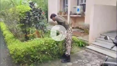 लाडपुरा: आयकर विभाग की आवासीय कॉलोनी में 6 फीट लंबा धामन प्रजाति का सांप आने से मचा हड़कंप, स्नेक कैचर ने किया रेस्क्यू