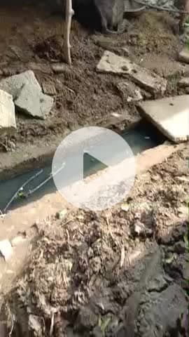 #Gaura Bramhnana #viral #नो सफाई गोरा गांव में मोहल्ला निवासी परेशानी राकेश प्रधान पर किया जाएगा केस दर्ज मतदाताओं की सं