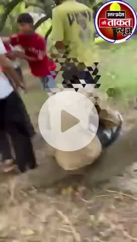 #शामली में युवक को पेड़ से बंधक बनाकर कई युवकों ने पीटा, युवक की पिटाई कर पैरों में गिराकर माफ़ी मंगवाई