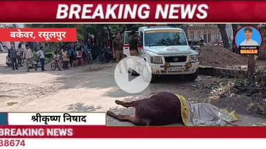 🚨 फतेहपुर: युवक ने गोवंश को पीट-पीटकर मार डाला, पुलिस जांच में जुटी! बकेवर से बड़ी खबर

#bakewar #बिंदकी