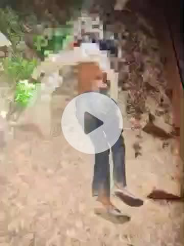 करछना: बसरिया गांव के सामने रेलवे ट्रैक पर मिला अज्ञात व्यक्ति का शव, पुलिस ने पोस्टमार्टम के लिए भेजा, जांच में जुटी