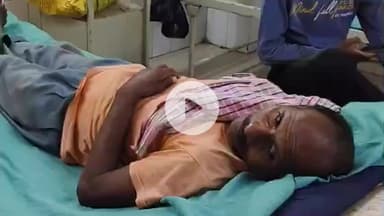 पडरौना: कुशीनगर में सांप के हमले से चार लोग घायल, सभी को जिला अस्पताल में भर्ती कर उपचार जारी