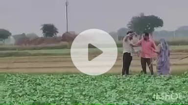 हाथरस: मुरसान के गांव नगला टोटा में जमीनी विवाद को लेकर दो पक्षों में लाठी-डंडे चले, गाली-गलौज का वीडियो हुआ वायरल