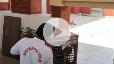 लाडपुरा: वर्धमान महावीर खुला विश्वविद्यालय के प्रांगण में कूलर में आया 5 फीट लंबा कोबरा सांप, कर्मचारियों ने किया रेस्क्यू