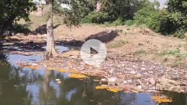 बीना: बड़ा मंदिर स्थित मोतीचूर विसर्जन घाट पर नहीं हुई सफाई,  गंदगी से परेशान लोगों ने जताई नाराजगी 
#jansamasya