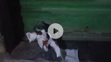 मिर्ज़ापुर: चील चौराहे पर खाद की दुकान से अधिक मूल्य पर खाद बिक्री के मामले में कृषि अधिकारी ने दो के खिलाफ मुकदमा दर्ज कराया