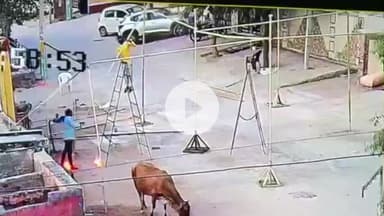 चूरू: नया बास में करंट लगने की खौफनाक घटना सीसीटीवी में कैद, किशोर न्याय बोर्ड सदस्य ताराचंद सैनी व श्रमिक आए करंट की चपेट में