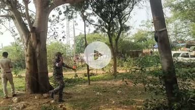 Jharkhand #ganday#giridih