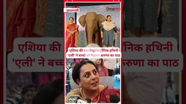 वाराणसी - एशिया की पहली एनिमेट्रॉनिक हथिनी 'एली' ने बच्चों को पढ़ाया करुणा का पाठ