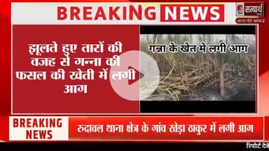 रिपोर्ट देवेन्द्र कुमार सत्यार्थ न्यूज रुदावल, भरतपुर 
खबर एवं विज्ञापन के लिए संपर्क करें 
मो.7014152481