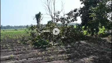 పలిమెల: పలిమెల మండలంలో పర్యటించిన కలెక్టర్ రాహుల్ శర్మ