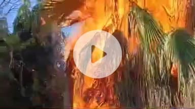 लाडपुरा: मोतीनगर बोरखेड़ा क्षेत्र के ट्रांसफार्मर में लगी भीषण आग, दमकल ने मौके पर पहुंचकर पाया आग पर काबू