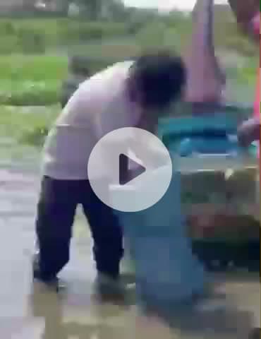 ధరూర్: రేవులపల్లి గ్రామంలోని చెరువులో చేప పిల్లలను వదిలిన అధికారులు