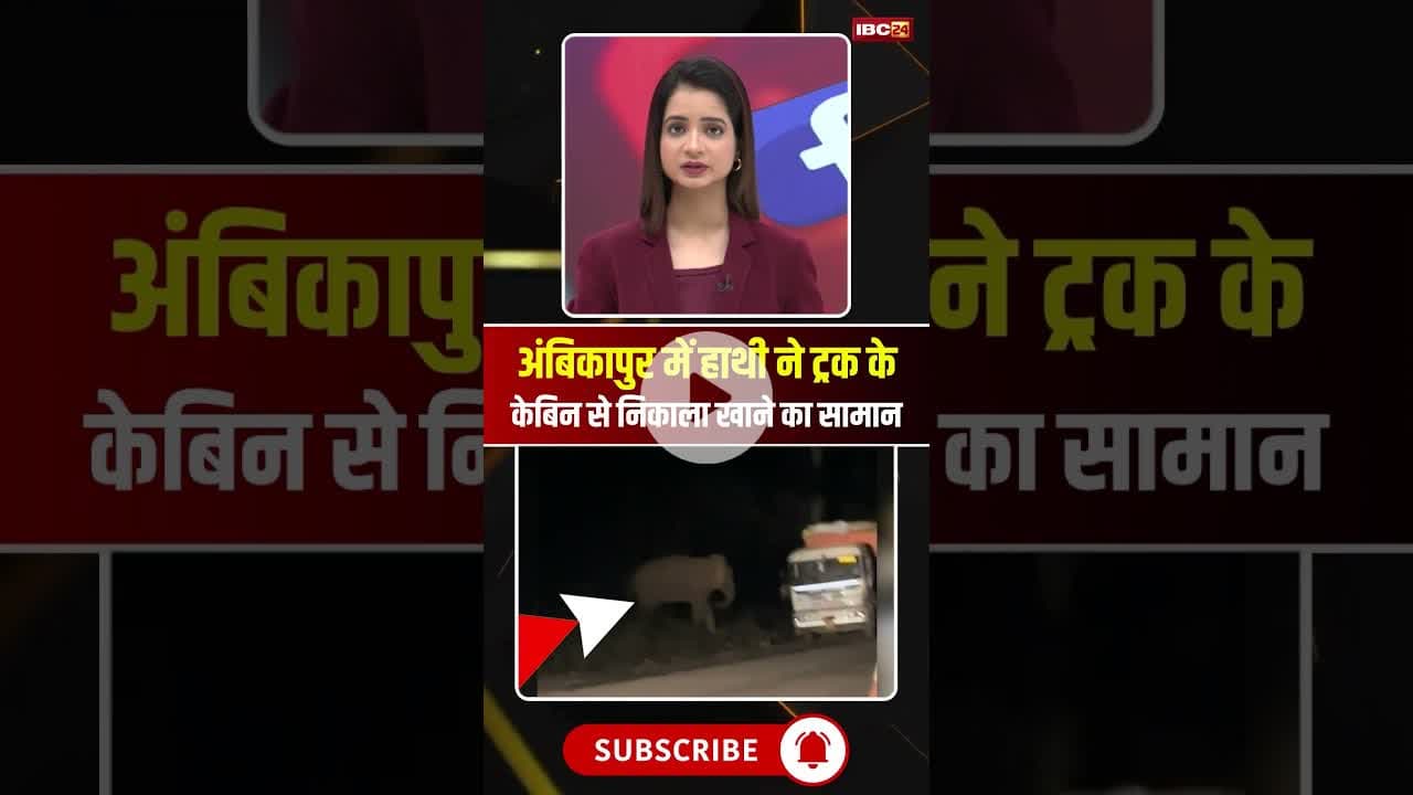 अंबिकापुर में हाथियों का आतंक, ट्रक से निकाला खाने का सामान। #elephantviralvideo #cgnews #shorts