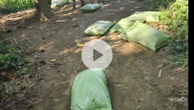 नौतनवा: महाराजगंज: भारत-नेपाल सीमा के पिलर संख्या 523-524 के बीच 9 बोरी डीएपी खाद बरामद