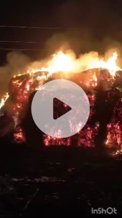 कोटकासिम: आलमपुर में किसान के खेत में रखी कड़वी में लगी आग, करीब 600 मन कड़वी जलकर हुई राख