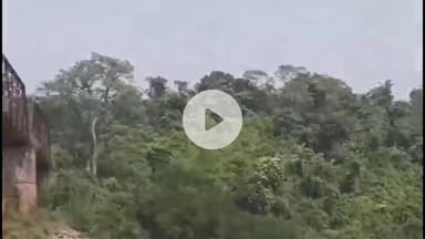 चास: तेलमोच्चो दामोदर नदी हादसे में एक और शव मिला, एक की तलाश जारी, अब तक कुल पाँच शव बरामद