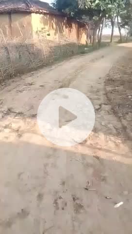 अमदाहा चरणपुर का समस्यात्मक खबर रोड का हालात चार्जर#naugrh#virl