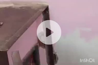 हरिद्वार: जमालपुर कलां स्थित बैंक के लॉकर में छिपा था सांप, वन विभाग ने किया रेस्क्यू