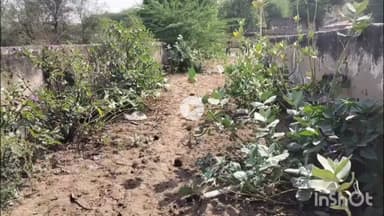 चूरू: चूरू के झारिया गांव में किसानों का प्रदर्शन, सदामत रास्ते को खुलवाने की मांग को लेकर किया गया प्रदर्शन