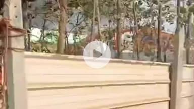 मुज़फ्फरनगर: शादी के पटाखों की चिंगारी से भड़की आग, प्लास्टिक गोदाम में लगी भीषण आग, मेहमानों की सूझबूझ से टला हादसा