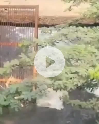 कानपुर: जाजमऊ सीवेज ट्रीटमेंट प्लांट से लाखों लीटर दूषित पानी बहाया गया